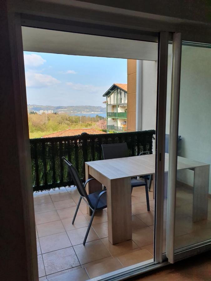 Hendaye: Joli T3, Piscine Et Parking Avec Vue Sur L'ocean Apartment